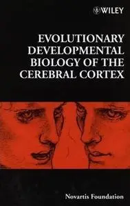 Evolutionary Developmental Biology of the Cerebral Cortex