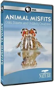 PBS - NATURE: Animal Misfits (2014)