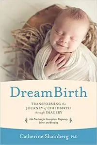 DreamBirth: Transforming the Journey of Childbirth Through Imagery