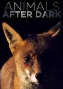 Ch5. - Animals After Dark (2019)
