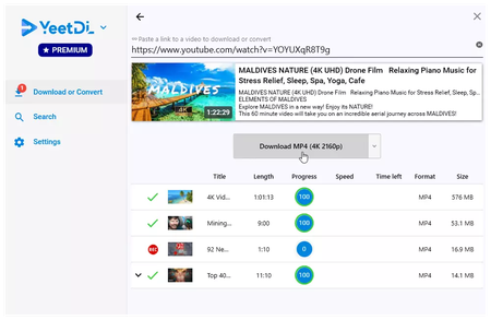 YeetDL Premium 1.2.109 Multilingual
