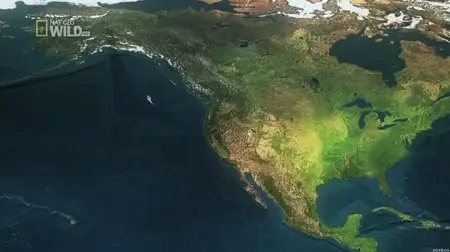 National Geographic Worlds - Deadliest Sharks (2012)