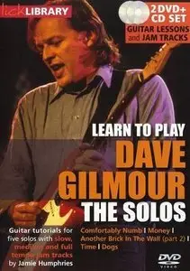 Learn to play Dave Gilmour - The Solos