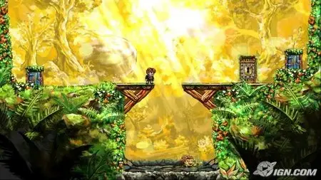 Braid (PC)