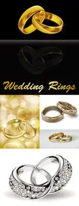 Wedding Rings Vector