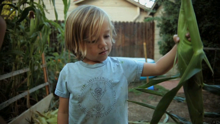 GMO OMG (2013)