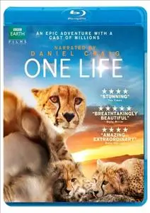 One Life (2011)