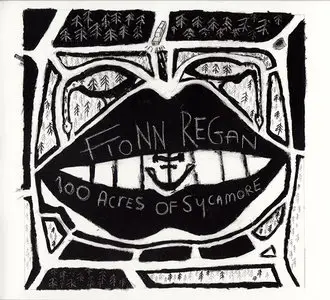 Fionn Regan - Albums Collection 2006-2012 (4CD)