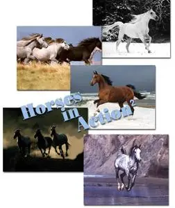 Horses in Action Zwe