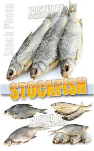Stockfish - UHQ Stock Photo
