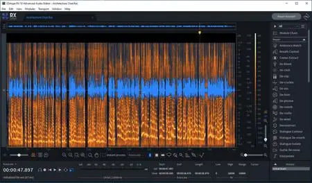 iZotope RX 11 Audio Editor Advanced 11.0 (x64) Portable