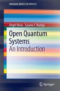 Open Quantum Systems: An Introduction (Repost)