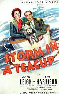 Storm in a Teacup (1937)