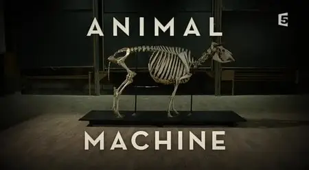 (Fr5) Animal machine (2015)