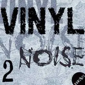 Raw Loops Vinyl Noise 2 WAV