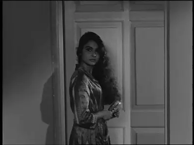 The Satyajit Ray Collection Vol.2 (1965-1978)