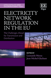 Electricity Network Regulation in the EU : The Challenges Ahead for Transmission and Distribution