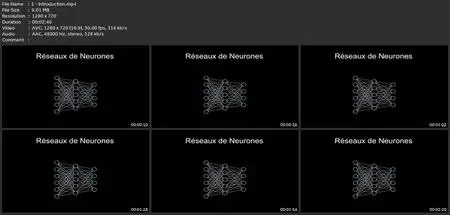 Réseaux De Neurones À Partir De Zéro
