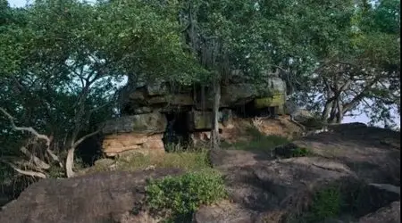 Monkey Kingdom (2015)