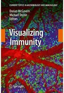 Visualizing Immunity