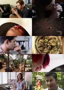 National Geographic - Drugged: High on Marijuana (2011)