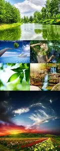 Amazing Nature