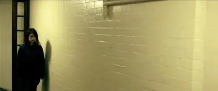 The Amityville Asylum (2013)