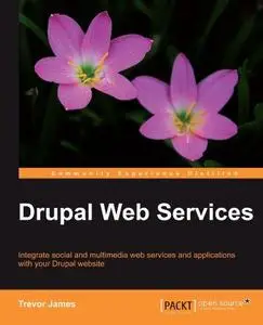 Drupal Web Services