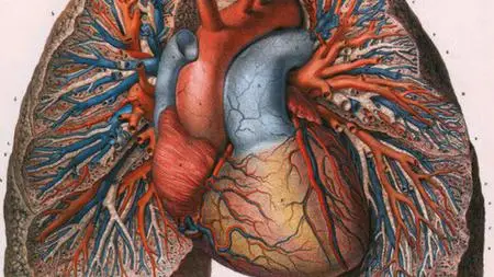 Medical Terminologies: Foundations