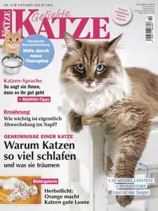 Geliebte Katze – Oktober 2022