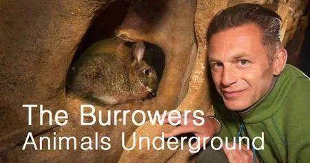 BBC - The Burrowers: Animals Underground (2018)