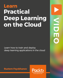 Practical Deep Learning on the Cloud