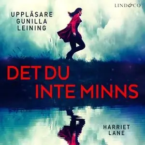 «Det du inte minns» by Harriet Lane