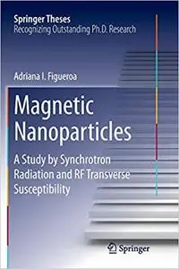 Magnetic Nanoparticles: A Study by Synchrotron Radiation and RF Transverse Susceptibility