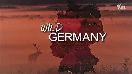 SBS - Wild Germany: Series 1 (2012)