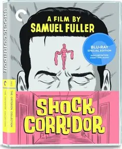 Shock Corridor (1963)