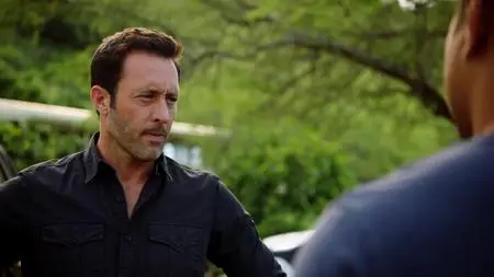 Hawaii Five-0 S10E19