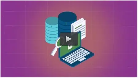 Udemy – MS Office: Accessing a Database from VBA