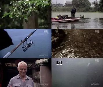 Animal Planet - River Monsters S03E07 Cold Blooded Horror (2011)