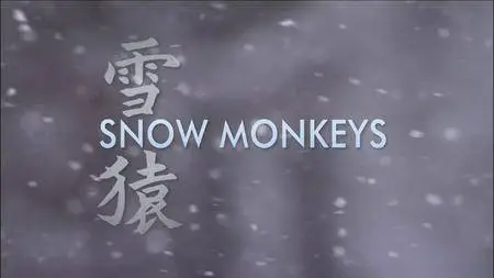 BBC Natural World - Snow Monkeys (2009)