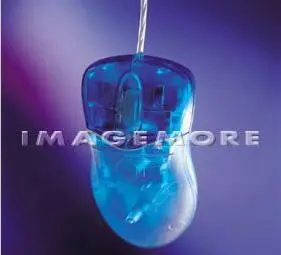 Imagemore: Mouse in Action