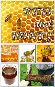 Bees & Honeys