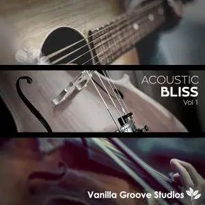 Vanilla Groove Studios Acoustic Bliss Vol 1 WAV