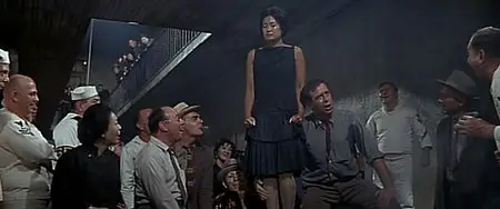 The Sand Pebbles [La Canonnière du Yang-Tse] 1966 [Re-UP]
