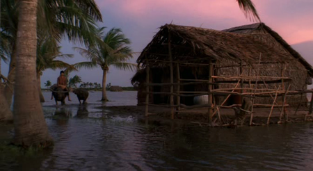 The Buffalo Boy / Gardien de Buffles (2004)