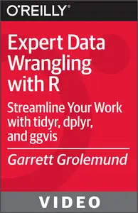OReilly - Expert Data Wrangling with R