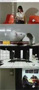 Discovery Channel - Through the Wormhole: Series 6 (2015)