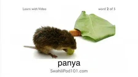 SwahiliPod101 (2013-2015)