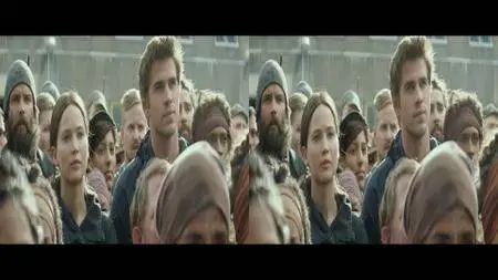 The Hunger Games: Mockingjay - Part 2 (2015) [3D]