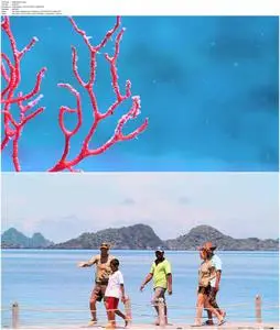 Journey to the South Pacific (2013)